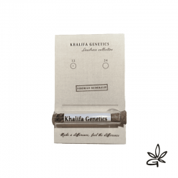 Siberian ruderalis regular...