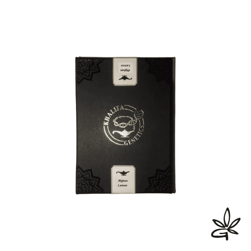 Afghan lemon  feminized x6 - khalifa Genetics