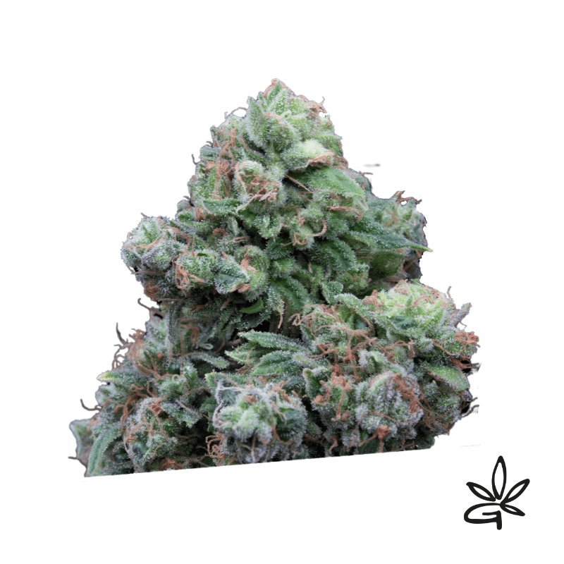 Weeding cake x3 - Exclusive seeds bank