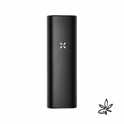 PAX Mini Onyx - Pax