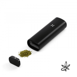 PAX Mini Onyx - Pax