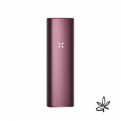 PAX Plus Elderberry - Pax