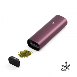 PAX Plus Elderberry - Pax