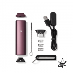 PAX Plus Elderberry - Pax