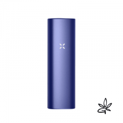 PAX Plus Periwinkle - Pax