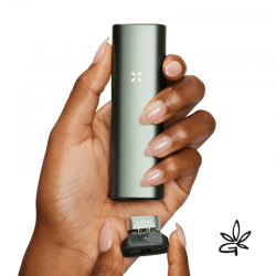 PAX Plus Sage - Pax