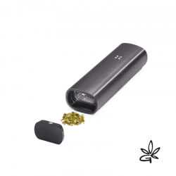 PAX 2 Charcoal - Pax