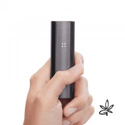 PAX 2 Charcoal - Pax