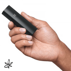 PAX 3.5 Onyx - Pax