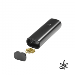 PAX 3 Onyx Kit complet - Pax