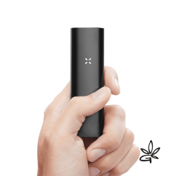PAX 3 Onyx Kit complet - Pax