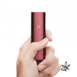 PAX 3 Burgundy Kit complet - Pax