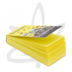 Filtres carton "Hotrod Guy" - G-ROLLZ