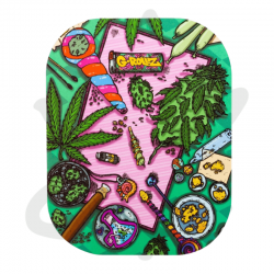 Magnet "Amsterdam Picnic" pour petit plateau 14x18 - G-Rollz
