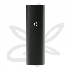 PAX 2 Charcoal - Pax