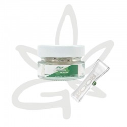 Filtre en verre - RooRxPurize