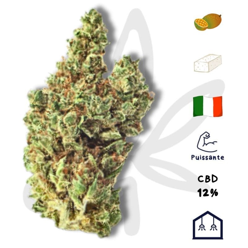 Super Lemon Haze CBD