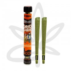 Blunt Cheech&Chong Tropical Pulp pre-rolled x2 - G-ROLLZ
