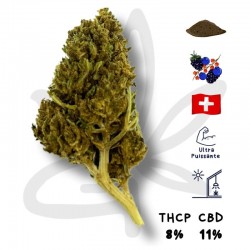 Blue Dream THCP + CBD