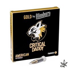 Critical daddy X3 - Blimburn