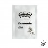 Serenade CBG X6 - French Touch Seed