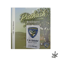 Pisthash fem X6 +1 - Thseeds