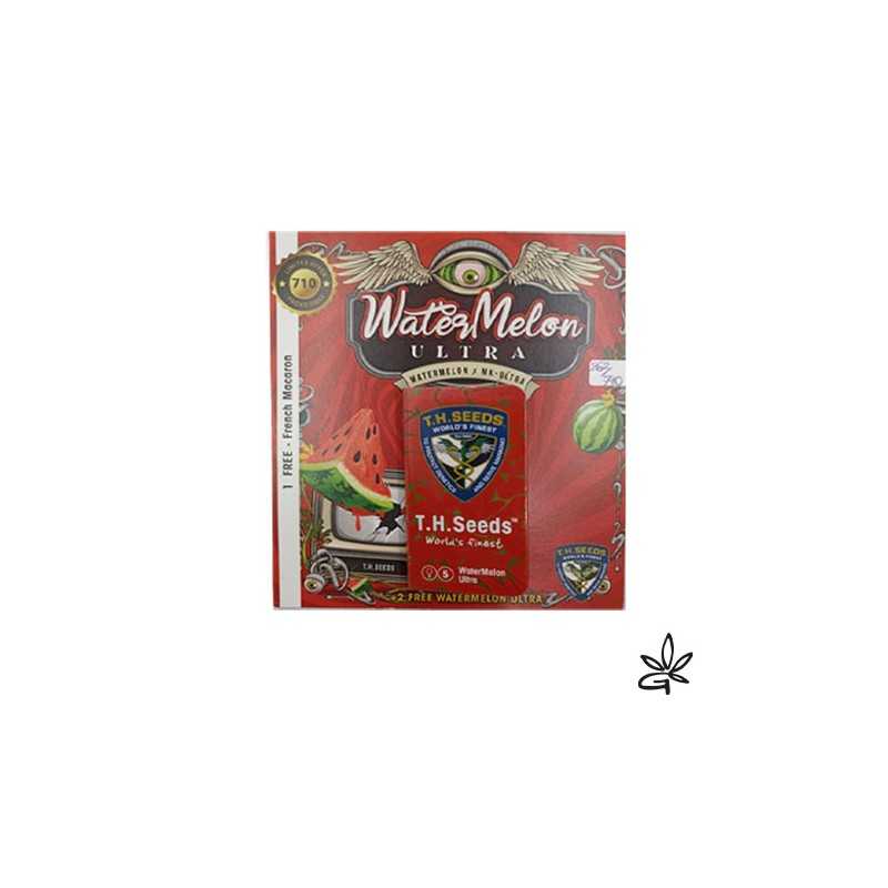 Water melon ultra fem X7 +1 - Thseeds
